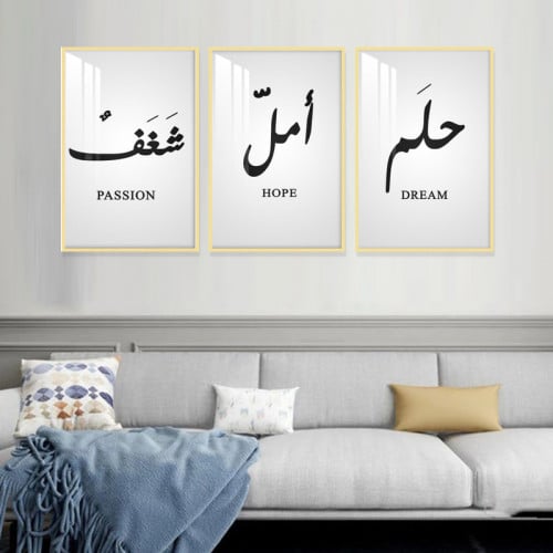 ثلاث لوحات جدارية مع برواز واكريلك شفاف