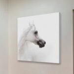 لوحة كنفاس مربعة تمثل خيلًا أبيض بتفاصيل دقيقة، لون الخلفية أبيض نقي.