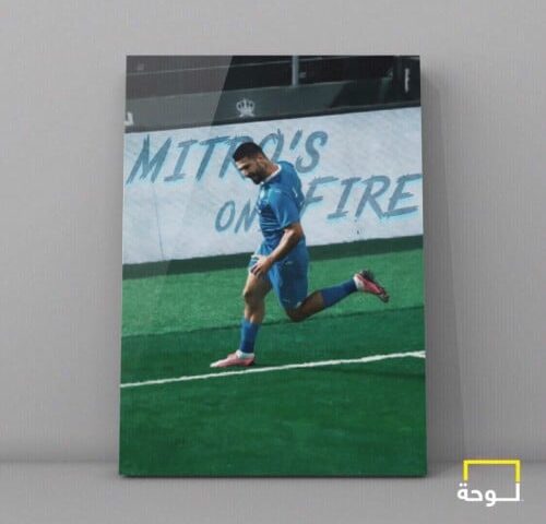 ميتروفيتش - الهلال